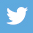 Twitter Icon