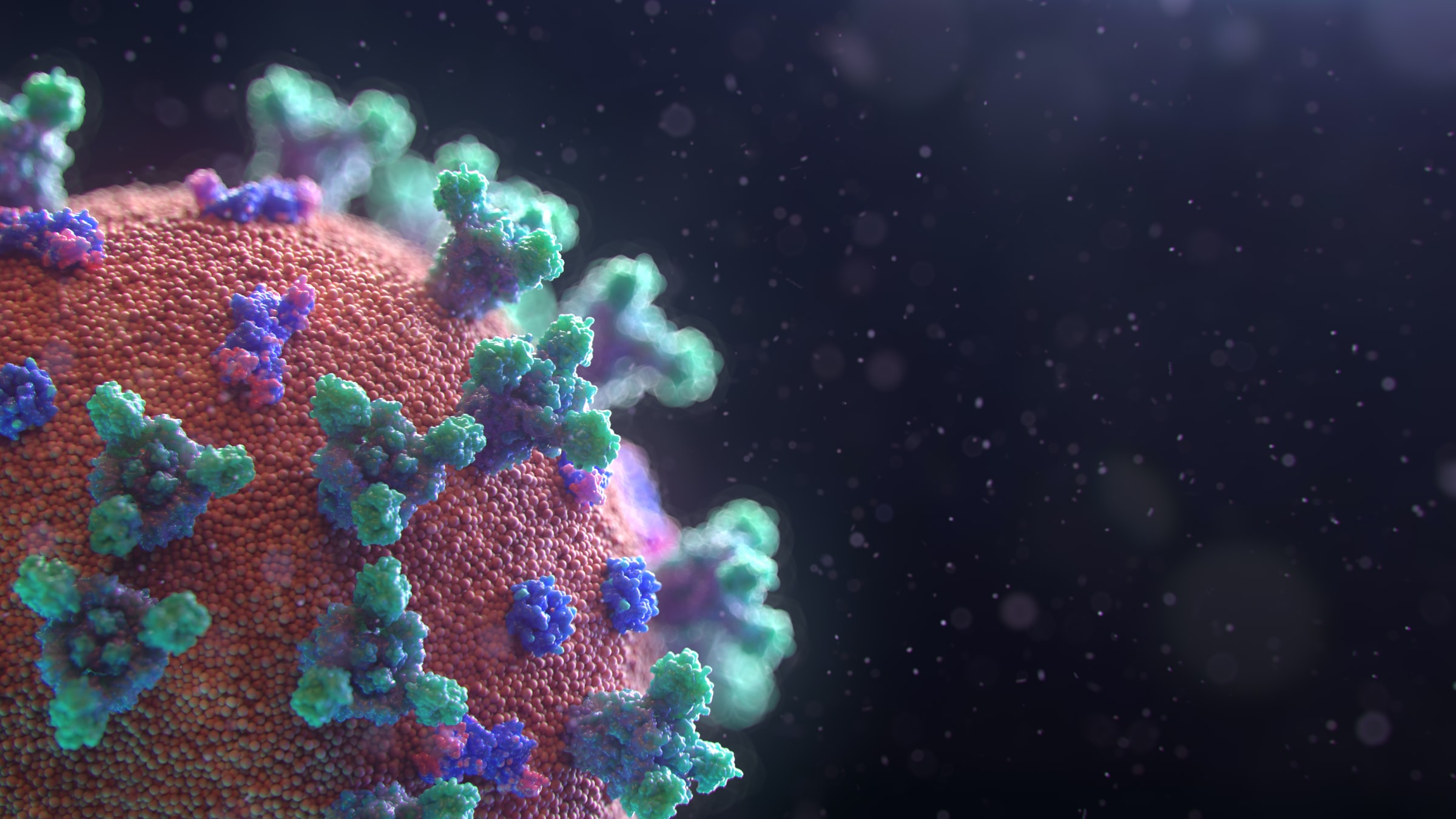 visualisation of the Covid-19 virus